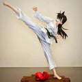 Detective Conan Karate Ver. Mouri Ran Otaku Anime Beautiful Girl Collectible Model Pc Case & Desk Decoration Toys Gifts For Fans otakupop.store